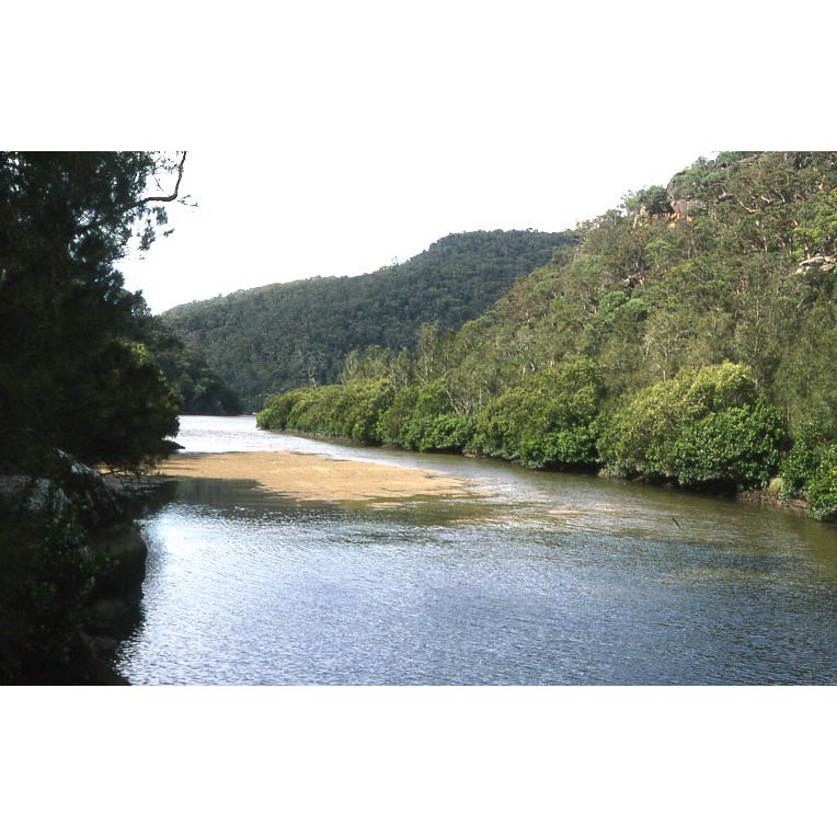 Calna Creek
