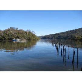 Bar Island & Oyster Leases - Hawkesbury River