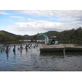 Bar Island Oyster Lease Clean-up - Hawkesbury River