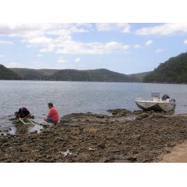 Surveying Oysters on the Long Island Foreshore, Hawkesbury River