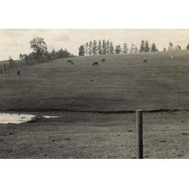 View from John's Road, Pennant Hills