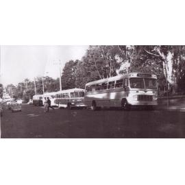 Buses along Yarrara Road, Pennant Hills