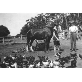 The Barry's with the horse Carmody King, Pennant Hills