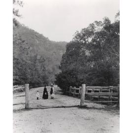 Main Road near Wiseman's Ferry