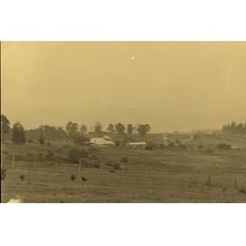 Farm house at Carlingford 