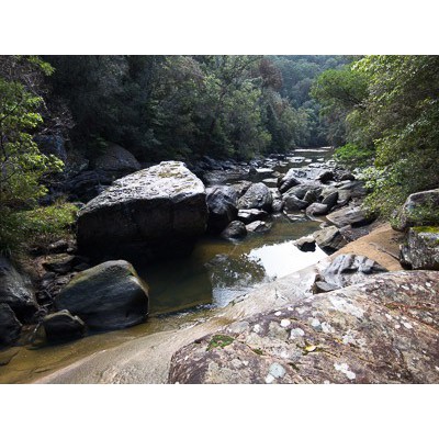 Fraser Brook