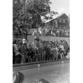 Opening day at the Hornsby Olympic Pool