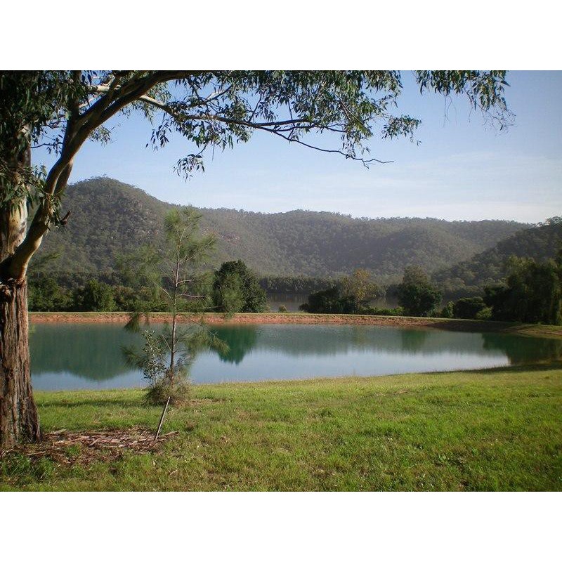 Ashdale Creek
