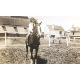 Heather Payne riding Carbon Copy