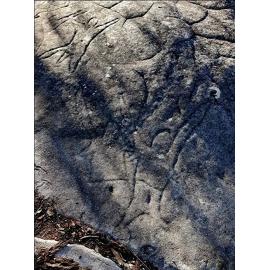 Aboriginal rock engraving - Berowra dancers