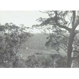 Old Mans Valley, Hornsby