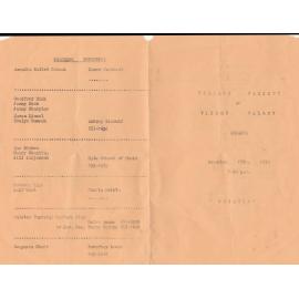 Concert at Vision Valley, Arcadia