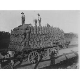 A Stack of Dorrigo Potatoes