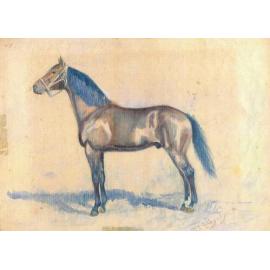 Paintings by Fisher Collingridge