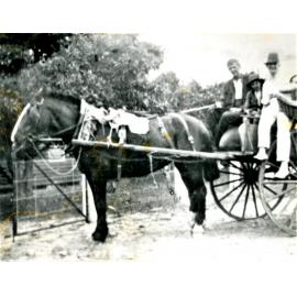 Dolly, the Foster's delivery horse