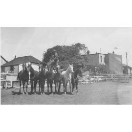 Jim Wilton's Show Horses