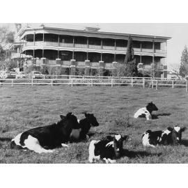 Sydney Adventist Hospital