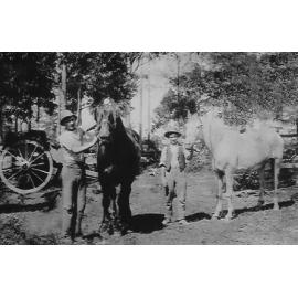 The horses used as models in artist George Lambert's "Across The Black Soil Plains"