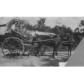 The Wahroonga Dairy Milk Cart