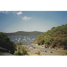 Parsley Bay, Brooklyn