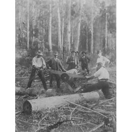 Cutting timber in Old Mans Valley