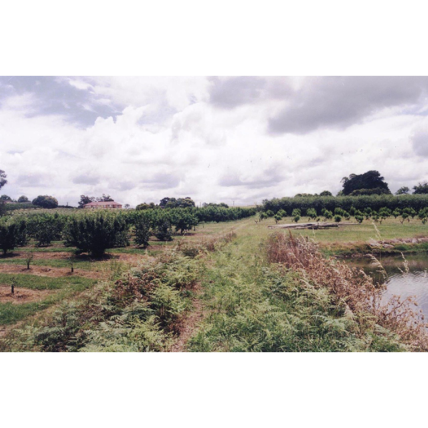 The Waddell Family of Galston