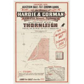 Auction sale of Crown lands Thornleigh 1900