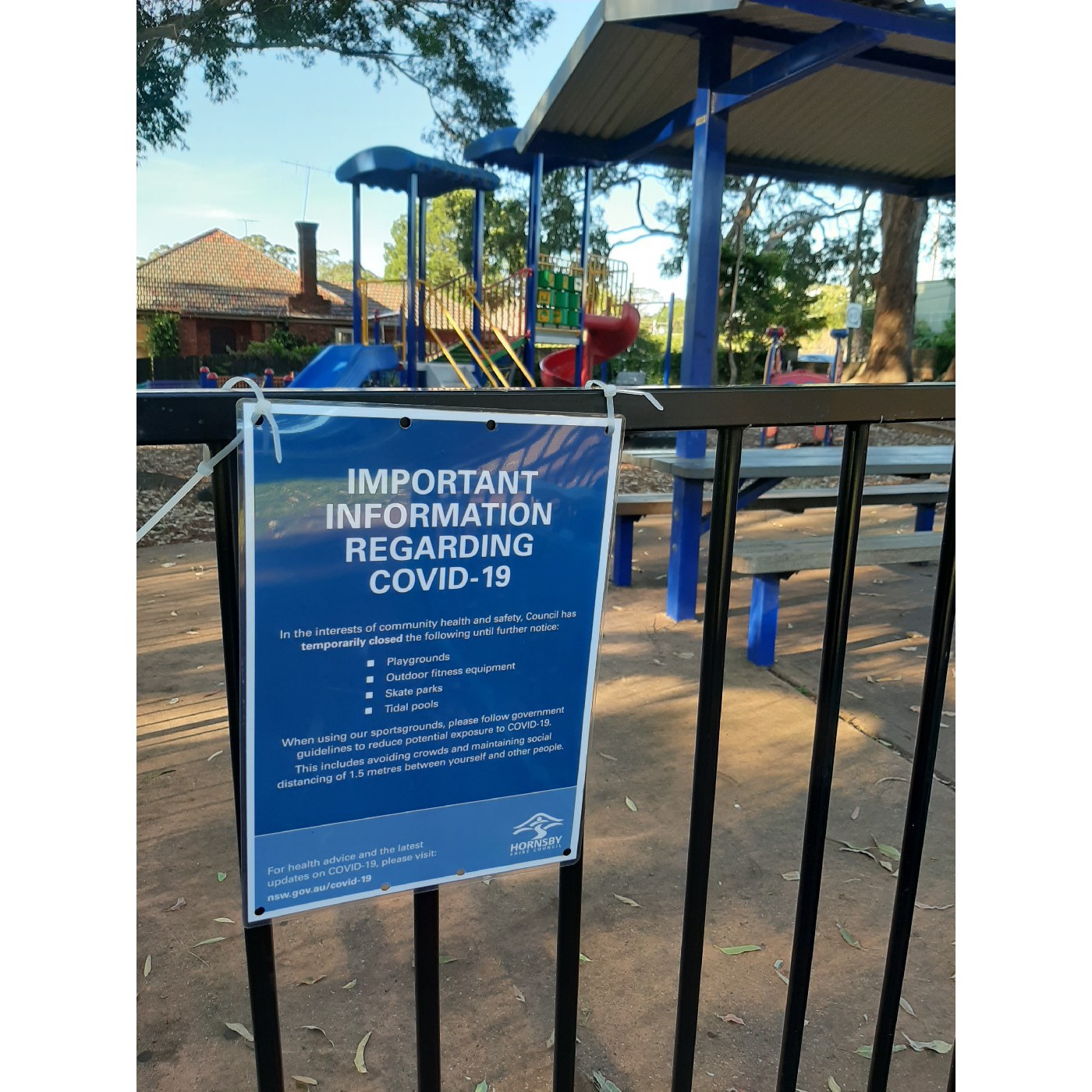 Hornsby Shire Reflections - COVID-19