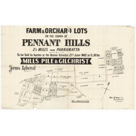 Farm and Orchard lots - Pennant Hills