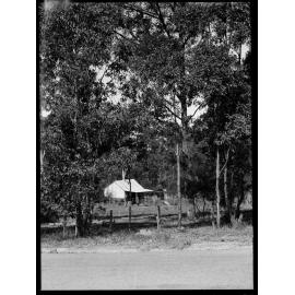 Solitude at Pennant Hills