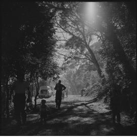 A day out in Berowra Waters