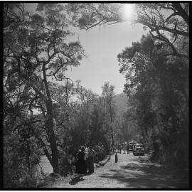 A day out in Berowra Waters