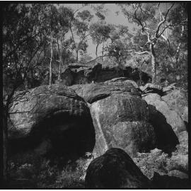 A day out in Berowra Waters