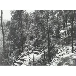Depression Steps, Hornsby Park