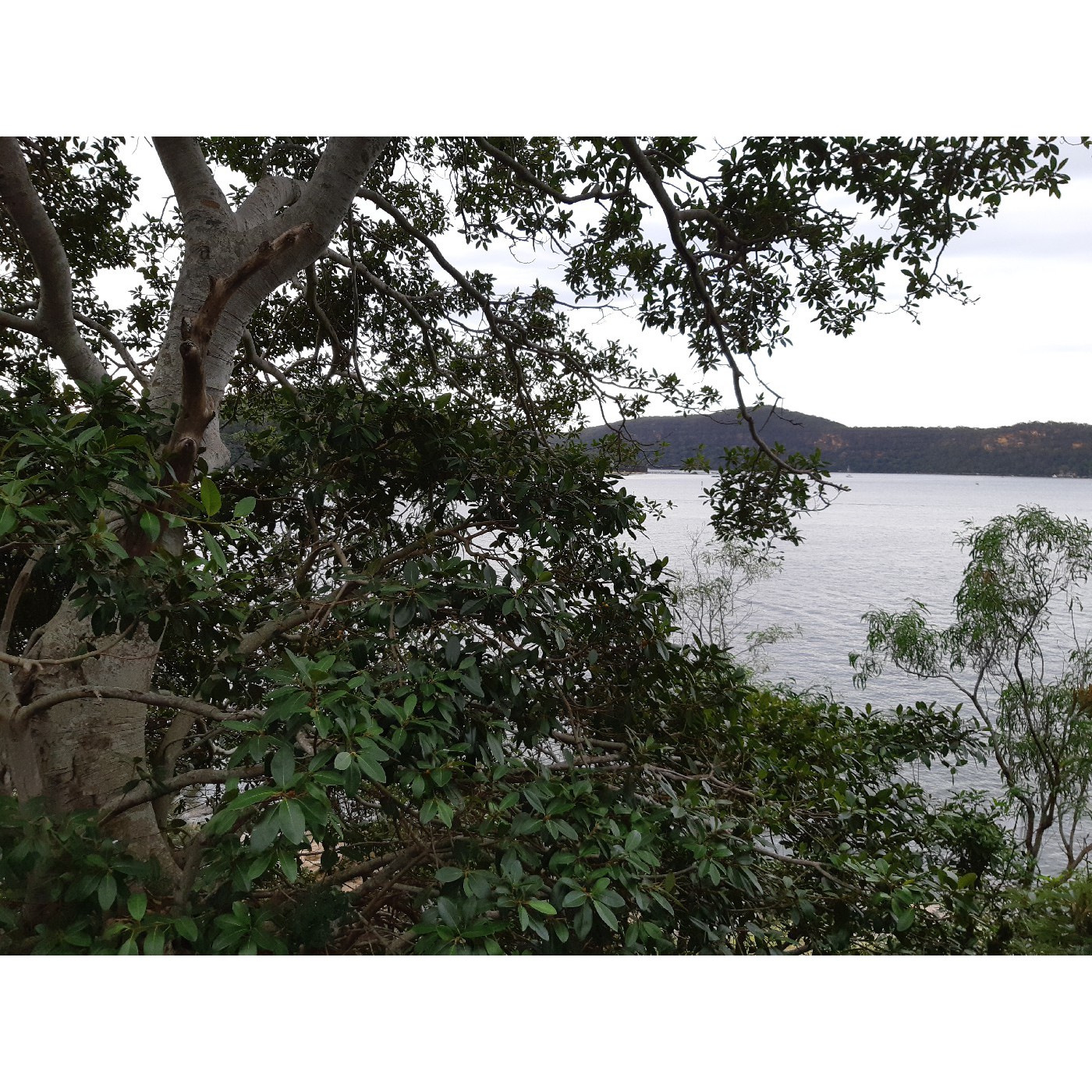 Flat Rock Point