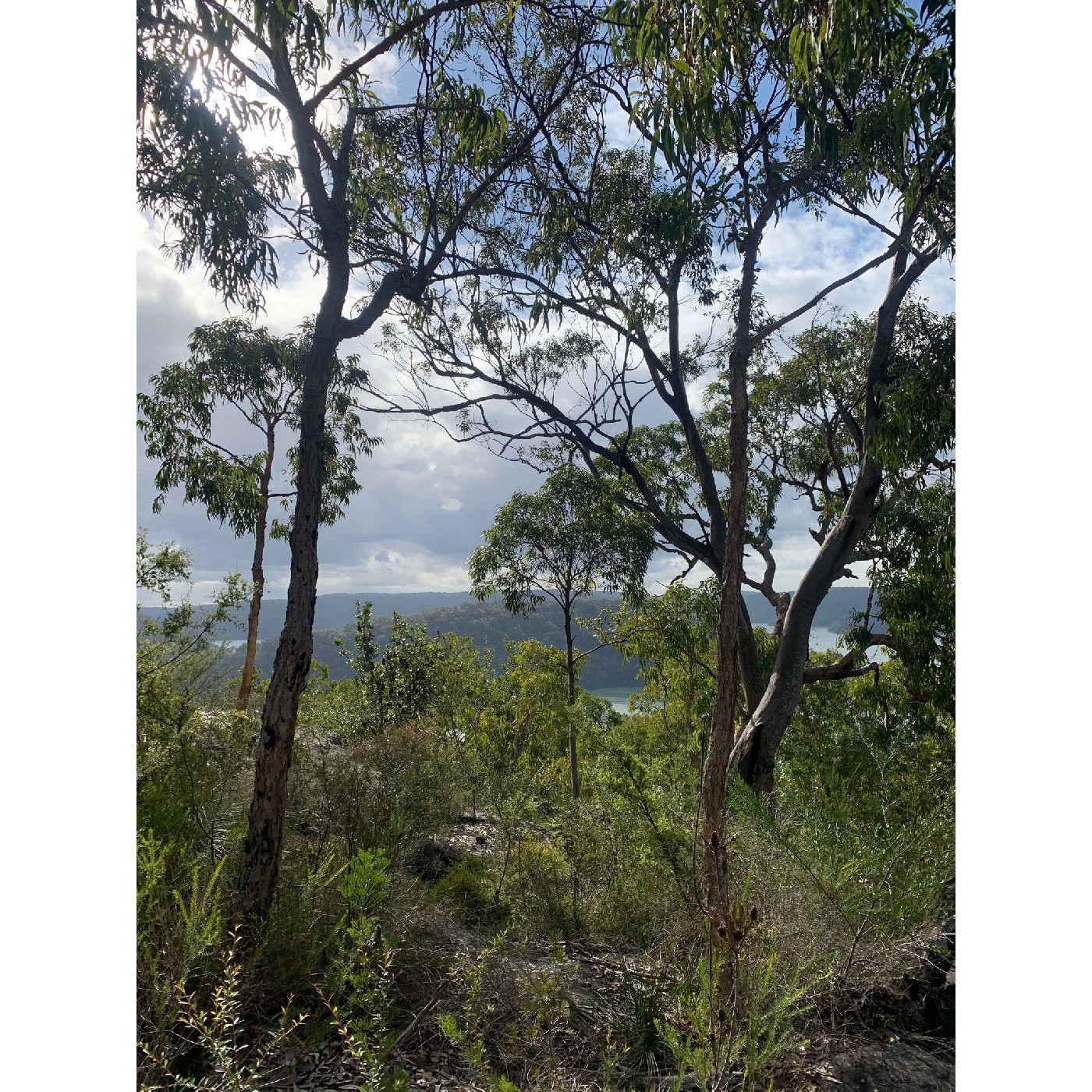 Green Point