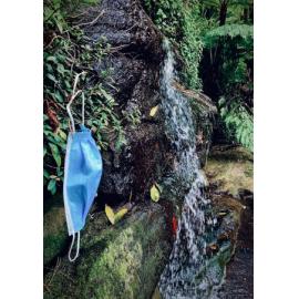 Finalist - Junior - Benjamin Brotherton - Pandemic pollution