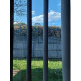 Finalist - Junior - Maddie Wyatt - Trapped