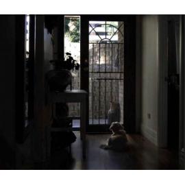 Finalist - Youth - Anita Quigley - Better times