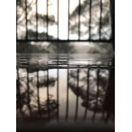 Finalist - Youth - Carys Brennan - Reflection