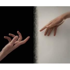 Finalist - Youth - Cate Fitzpatrick - Holding on