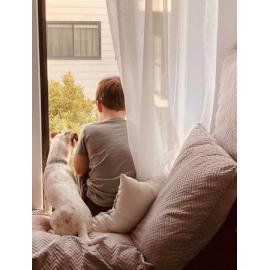 Finalist - Adult - Amanda Keating - The world through a window