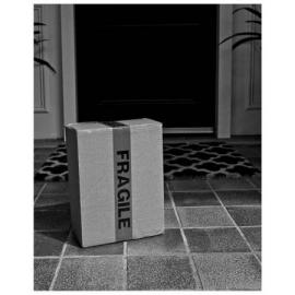 Finalist - Adult - David Williams - Feeling fragile