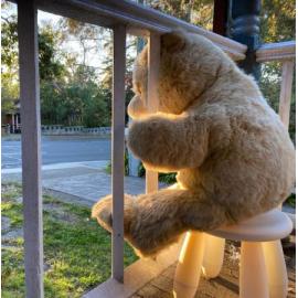 Finalist - Senior - Anita Howard - Hi