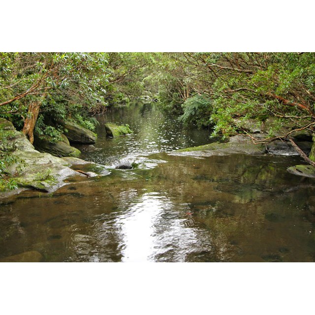 Galston Creek