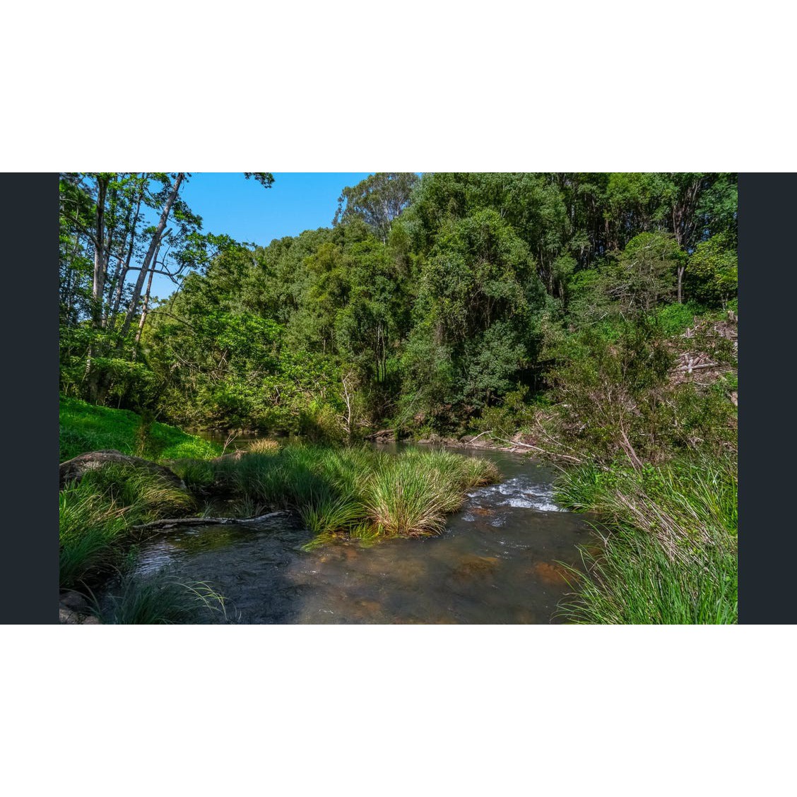 Coopers Creek