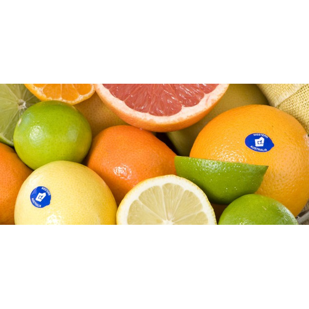Citrus Avenue