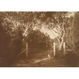 Margaret and William Preston's Berowra property