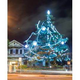 Hornsby Shire Council's Christmas Tree 2014