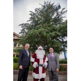 Hornsby Shire Council's Christmas Tree 2014